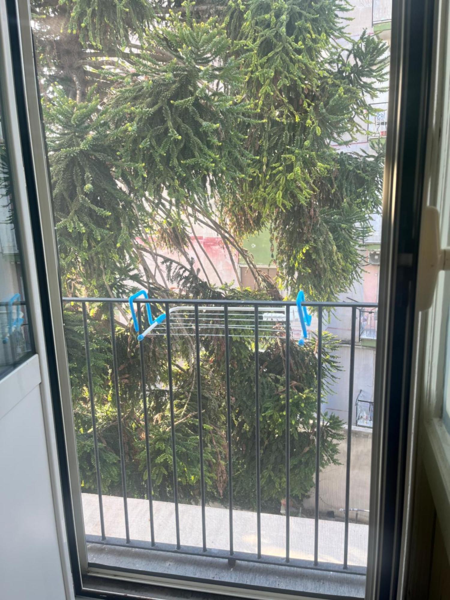 Mediterraneo Apartment Ercolano Kültér fotó